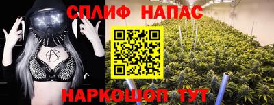 молекула духа Бийск