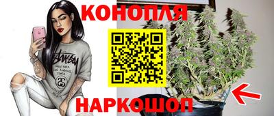 ПСИЛОЦИБИНОВЫЕ ГРИБЫ Берёзовский