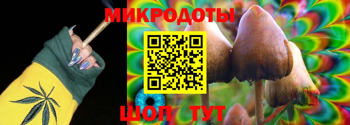 Псилоцибиновые грибы GOLDEN TEACHER Коломна